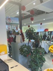 -LJOY丽锦造型·烫发染发