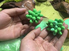 -手工艺活态馆
