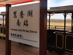 -怀来官厅水库