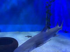 -太平洋海底世界