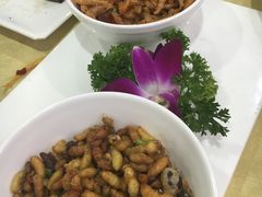 -大笮风(体育馆总店)
