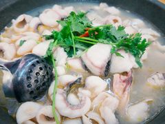 -大鼎石锅鱼(春江里店)