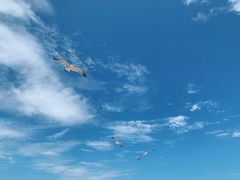-海驴岛(荣成市)
