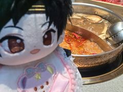 -菌自在·云南野生菌火锅(长安万达店)