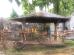 -清迈夜间动物园