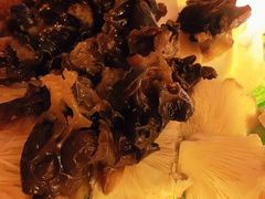 菌类拼盘-芦月轩羊蝎子(劲松店)