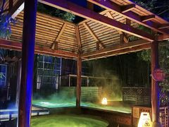 -春晖园度假酒店温泉