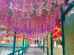 -桂山风景旅游区