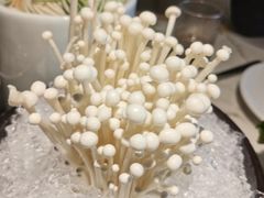 -大舜国风· 和牛火锅(绮霞街店)