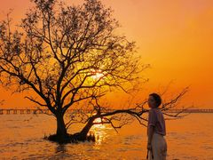 -宝安西湾红树林湿地公园