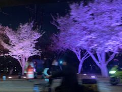 -西北湖绿化广场