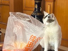 -金山锅贴店(金泉路店)