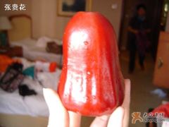 莲雾近照-鲤鱼门海鲜街