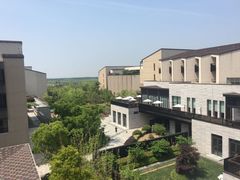 -上海崇明金茂凯悦酒店