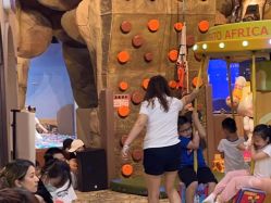 -卡通尼·Safari非洲探索乐园·生日会(金桥国际商业广场店)