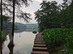 -重庆彩云湖湿地公园