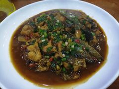-全乐鱼馆·淳牌有机鱼直营店