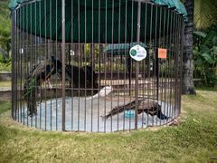 -西双版纳融创皇冠假日度假酒店