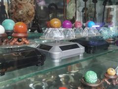 -曲阳花鸟市场(曲阳路店)