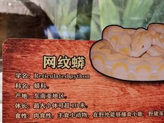 -无锡动物园·太湖欢乐园