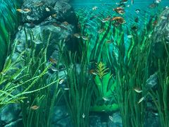 -上海海洋水族馆