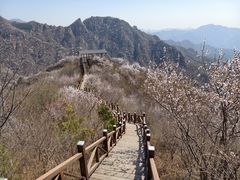 -大岭沟猕猴桃谷风景区