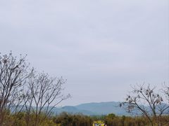 -良渚古城遗址公园