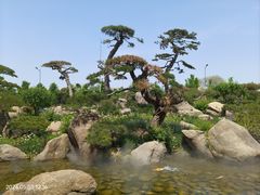 -罗红摄影艺术馆