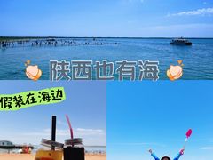 -红碱淖景区