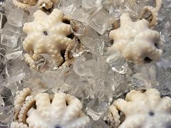 -铭聚章鱼土笋冻(松柏店)