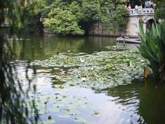 -翠湖公园