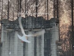 -音乐台