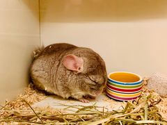 -龙猫仔乐园(惠福东路店)