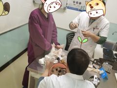 -特一安24小时宠物医院·骨科·中兽医