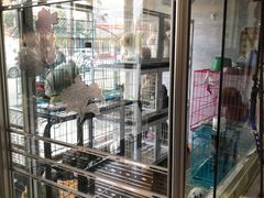 -爱宠有家宠物医院(彩虹桥总店)