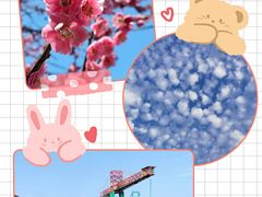 -宝岛眼镜(福清万达店)