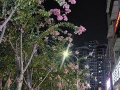 -彭三老火锅(枣子岚垭正街店)