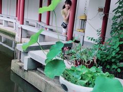 -龚家花园农家乐休闲别墅