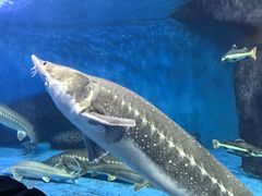 -多彩贵州城极地海洋世界