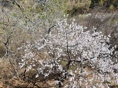 -慕田峪长城