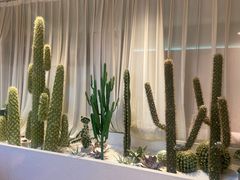 -悦海·家宴·冰花皮皮虾大锅贴(宝龙店)