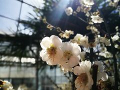 -北京鹫峰国家森林公园
