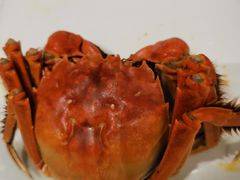 -宁波石浦大饭店(新材料城店)