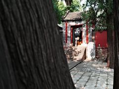 -泰山风景名胜区-普照寺