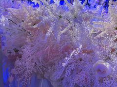 -湖锦酒楼·旗舰店(三阳总店)