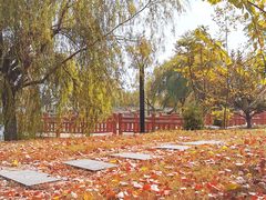-南京林业大学(淮安校区)
