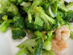 -陶然饺子城(奥体中路店)