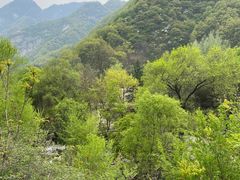 -终南山国家森林公园