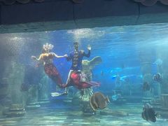 -梦幻海洋王国(吾悦广场张家港店)