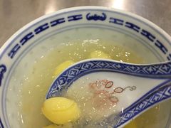 -大中鱼翅 Taitong Shark Fin